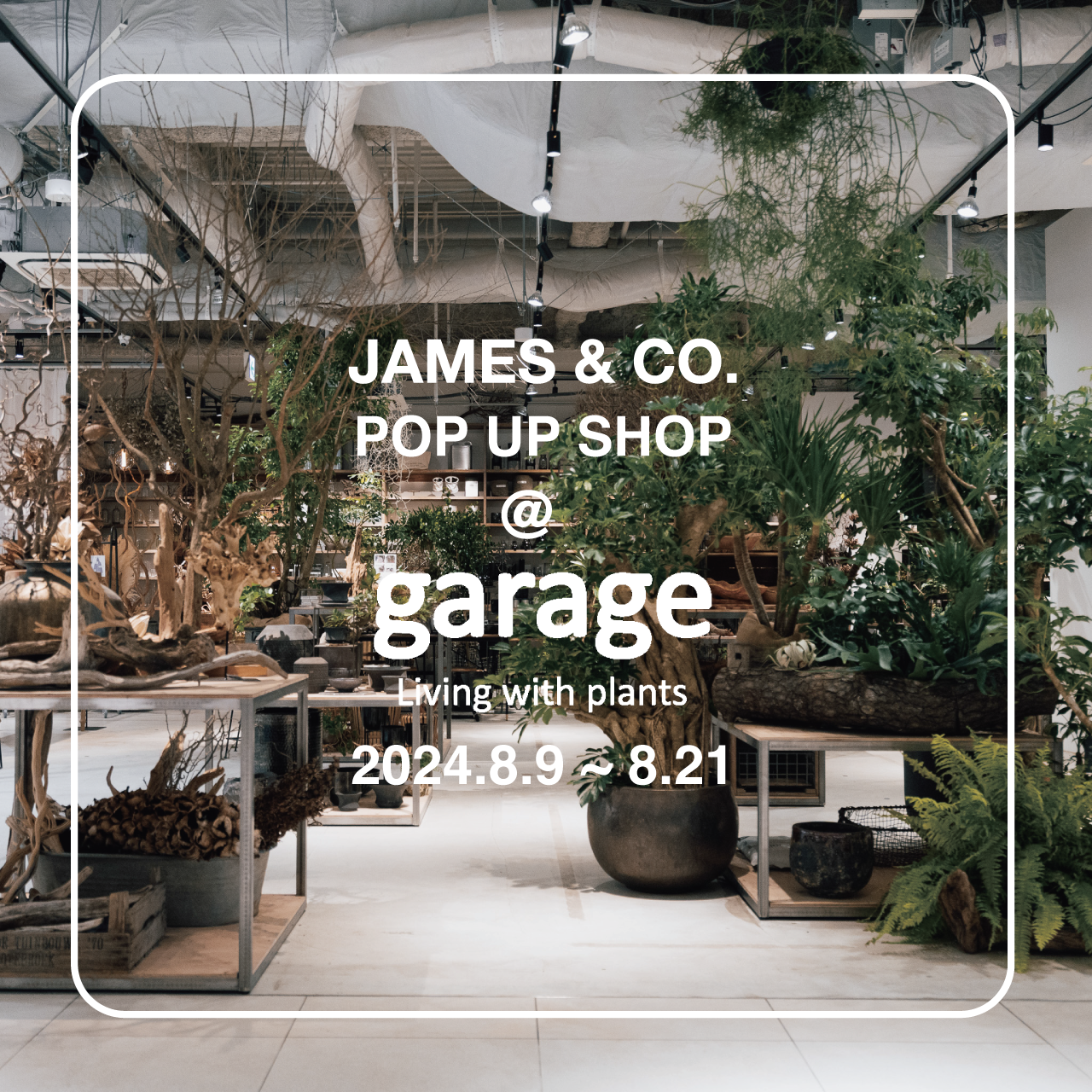 【JAMES & CO. POP-UP @garage 渋谷スクランブルスクエア】