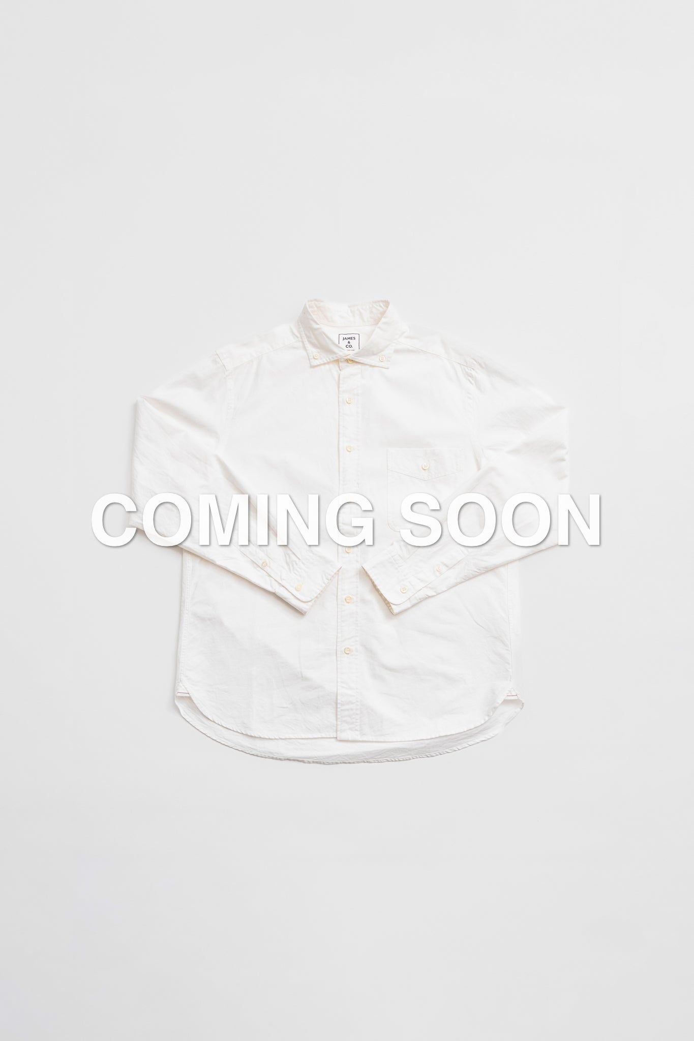 PUJOL -standard - OX-WHT