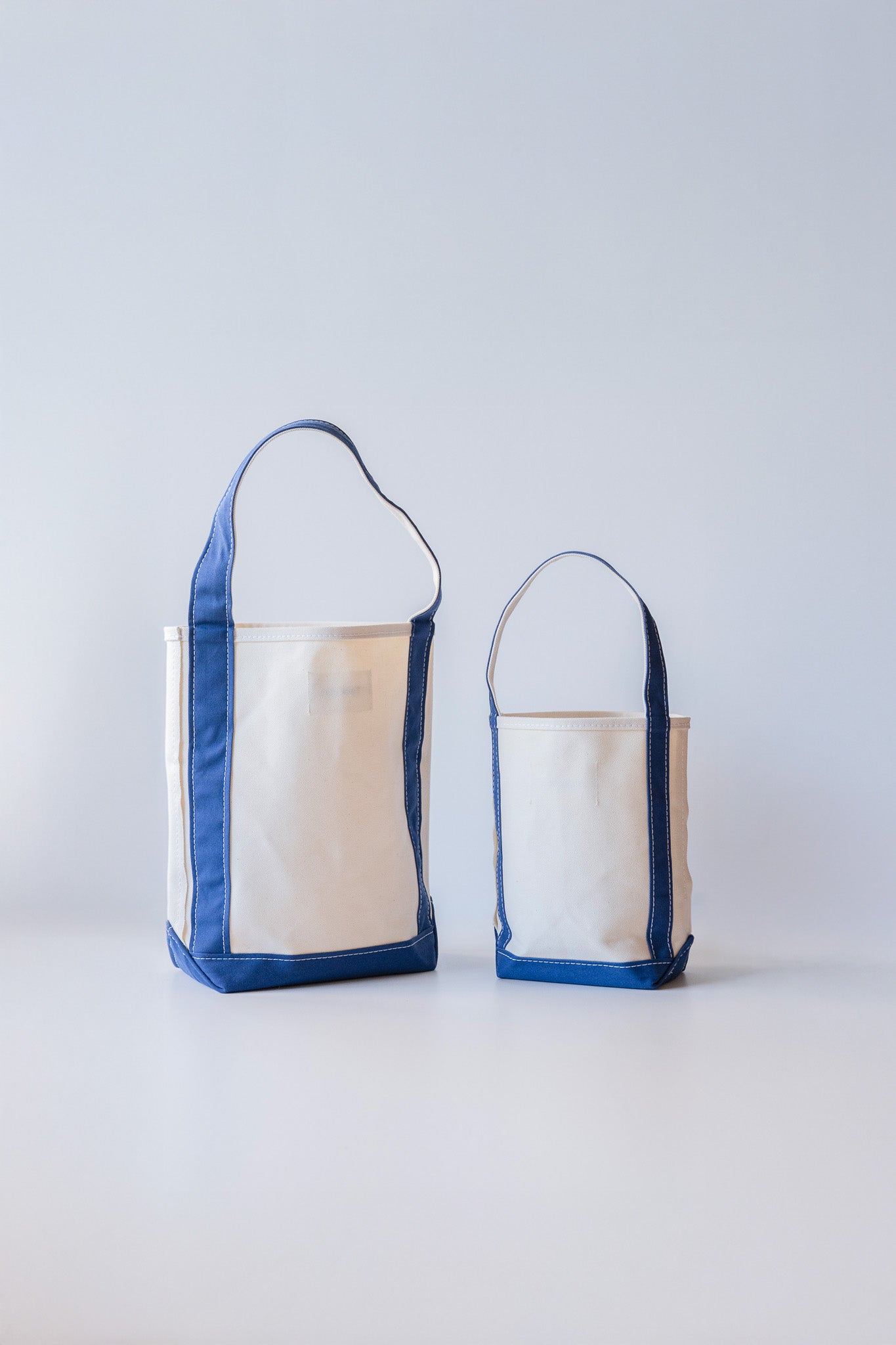 BAGUETTE TOTE MINI
