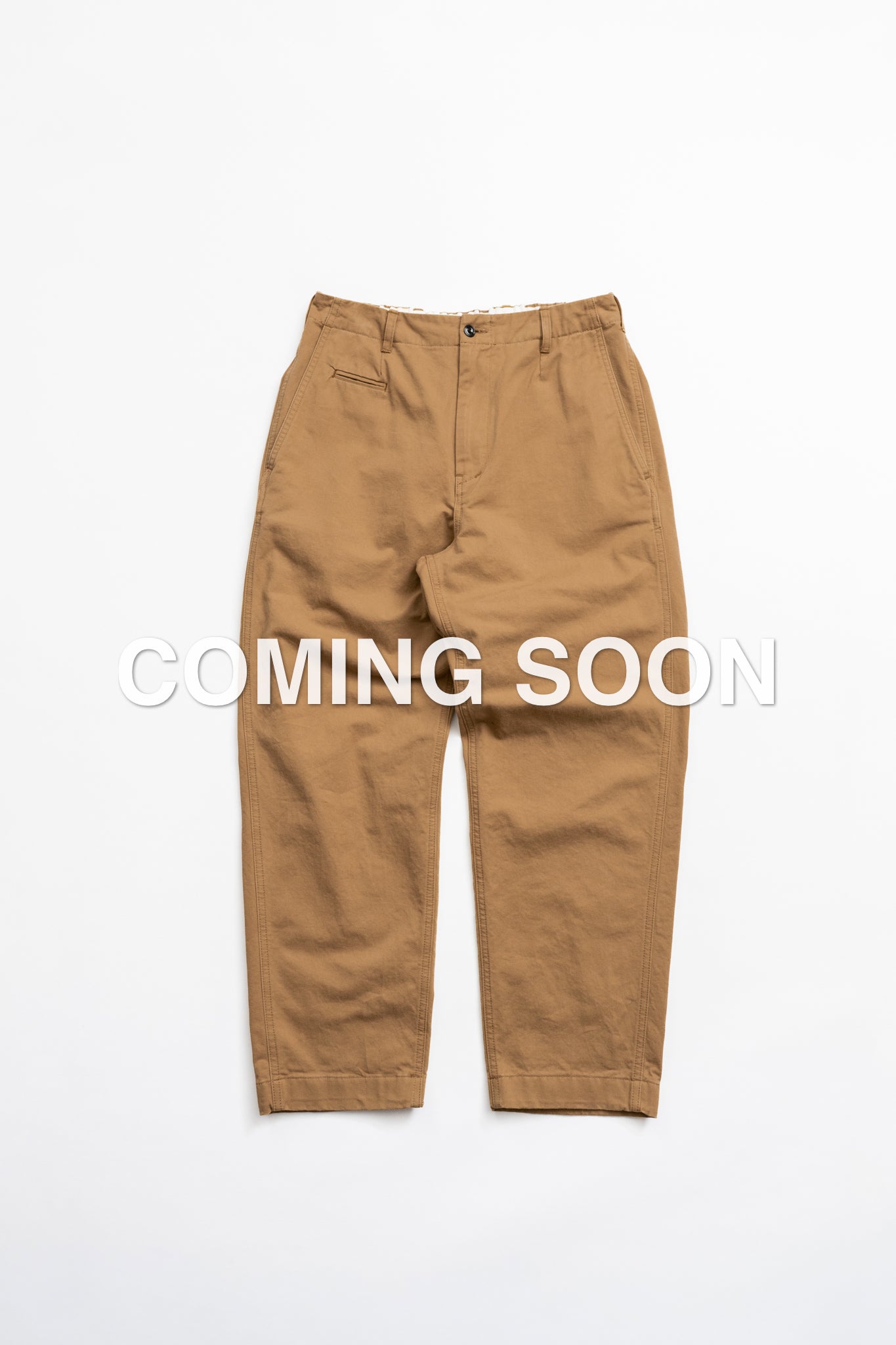 Wide Chino Pants -FW - BEG