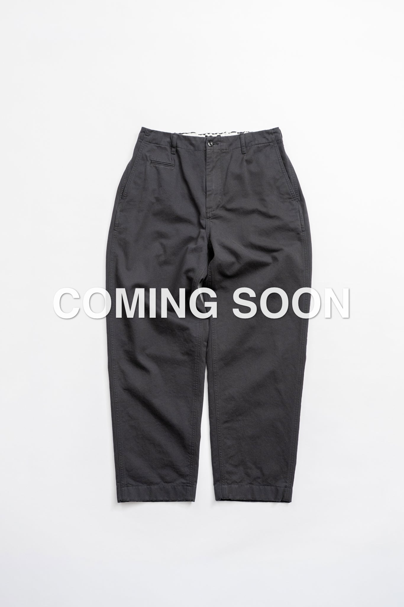 Wide Chino Pants -FW - GRY