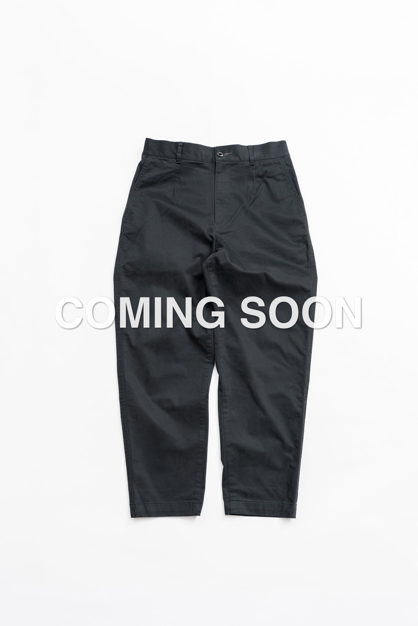 DAILY Work Pants - CHR