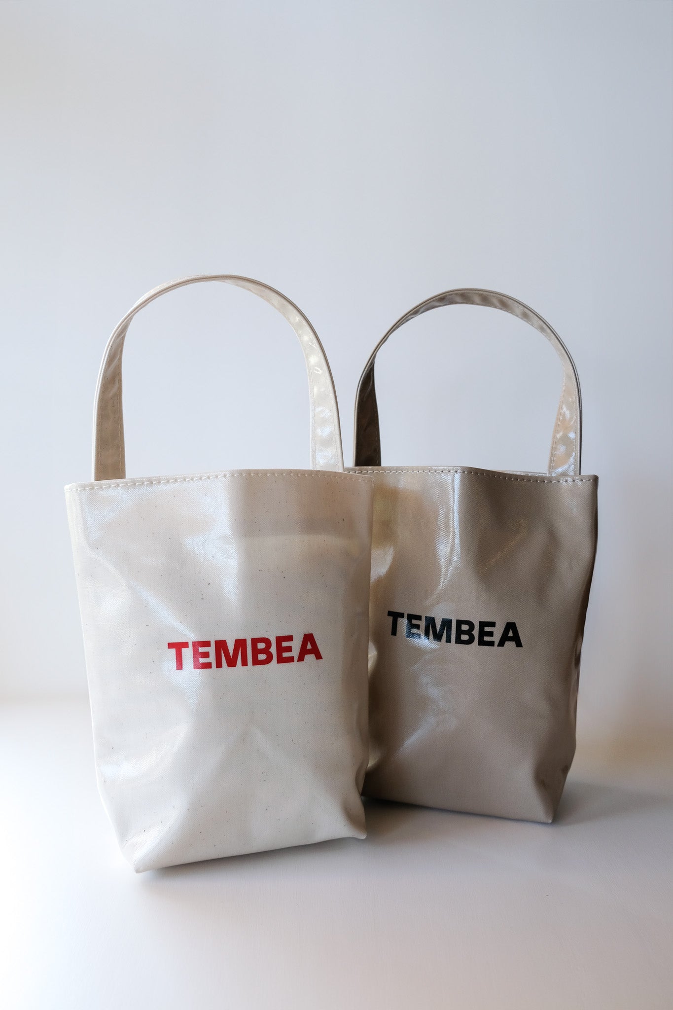 BAGUETTE TOTE MINI CLEAR